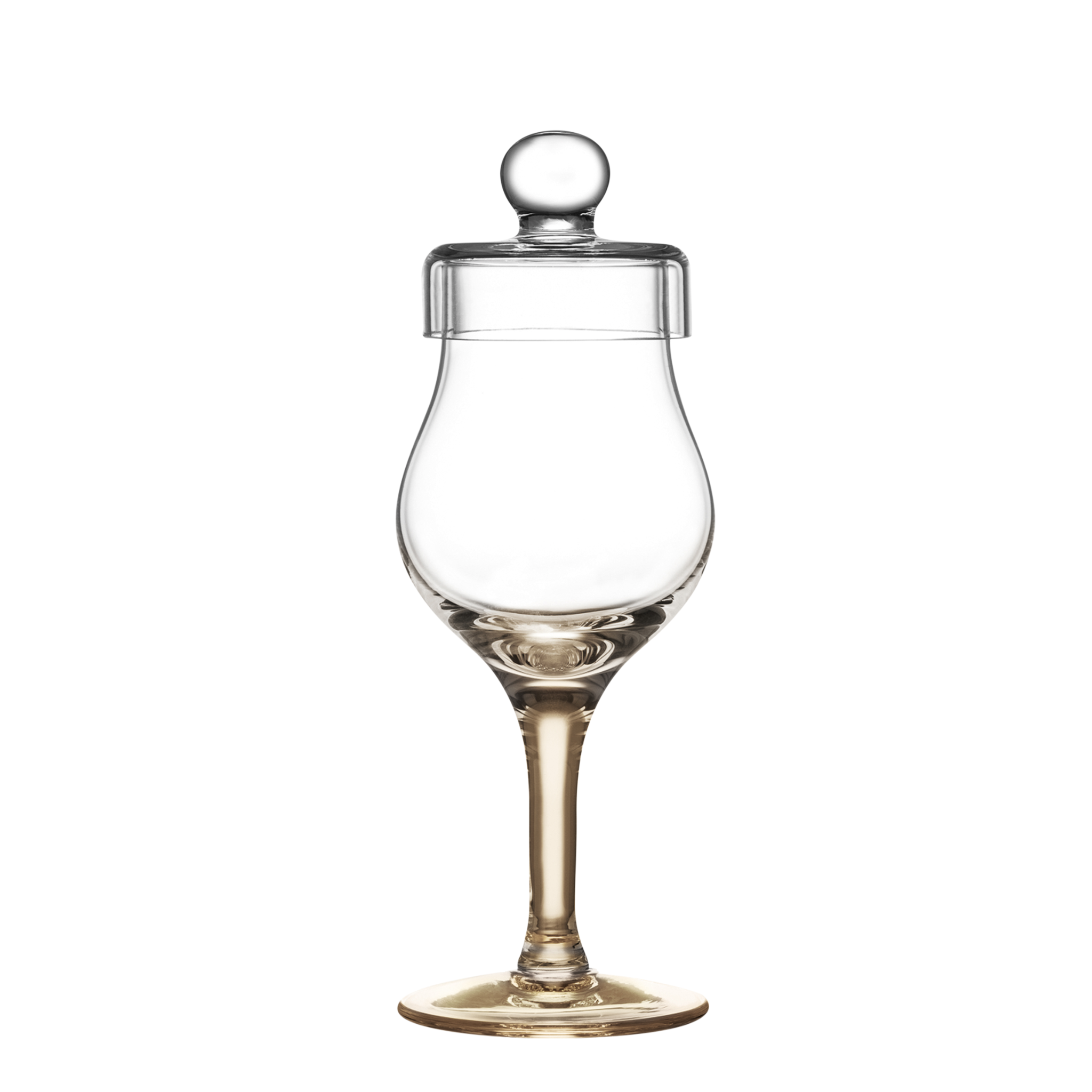 Image of Amber Tulip