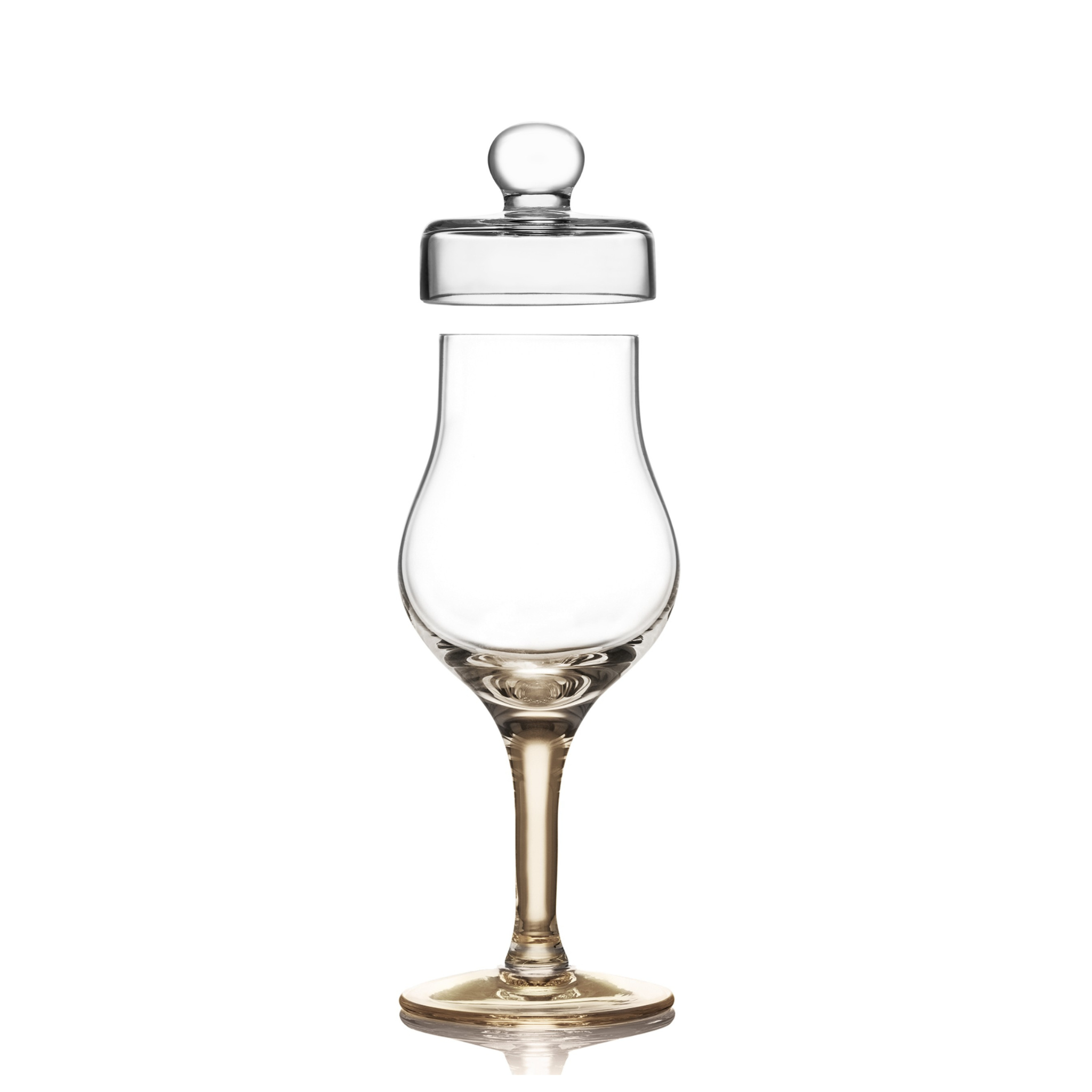 Image of Amber Tulip