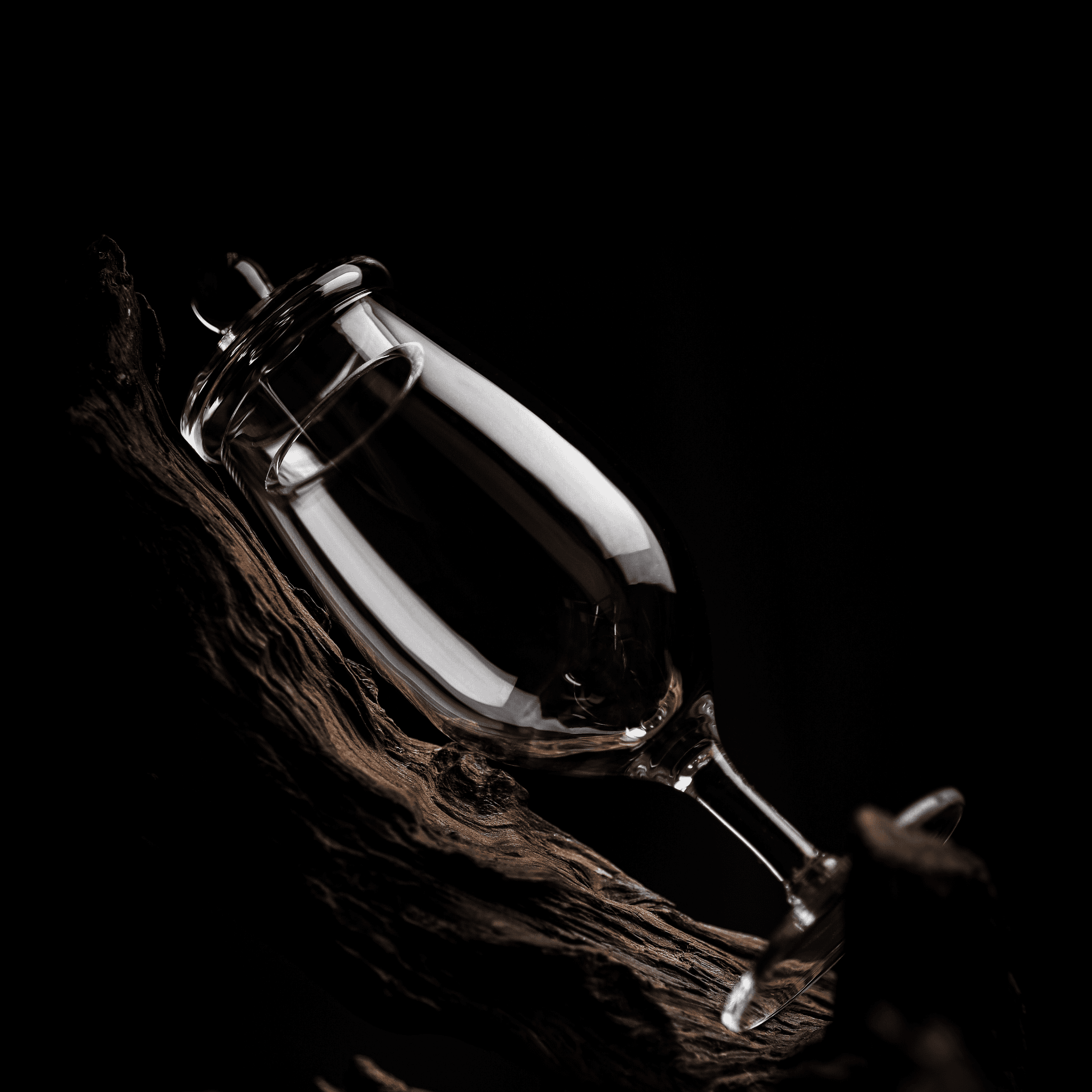 Image of The Exceptional