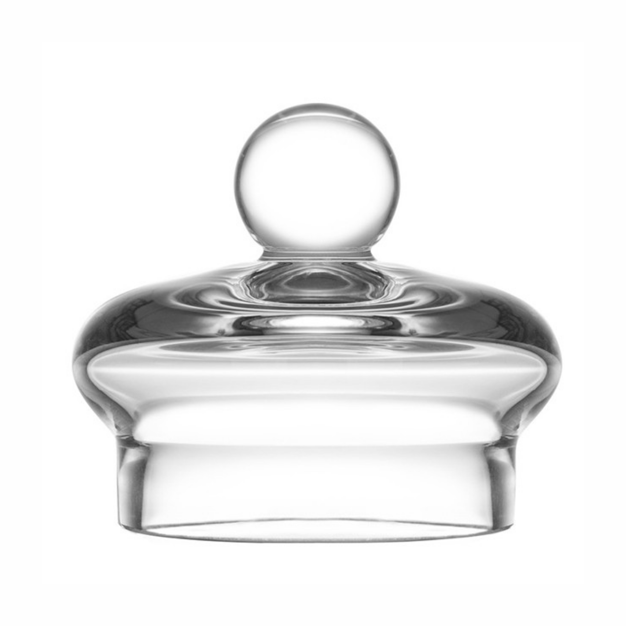 Image of The Exceptional